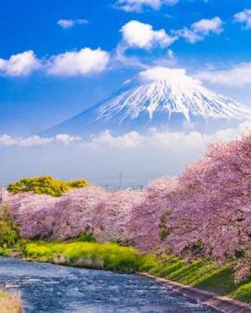 Best Places to Visit in Japan